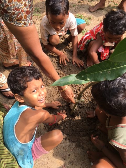 Brikhoropon (Tree Planting) — photo 3