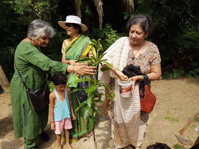 Brikhoropon (Tree Planting) — photo 4