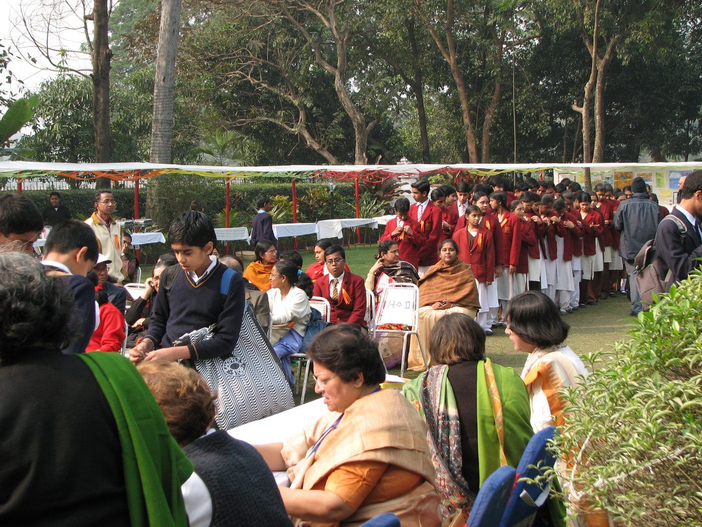 CEMO Eco-Jamboree — photo 4