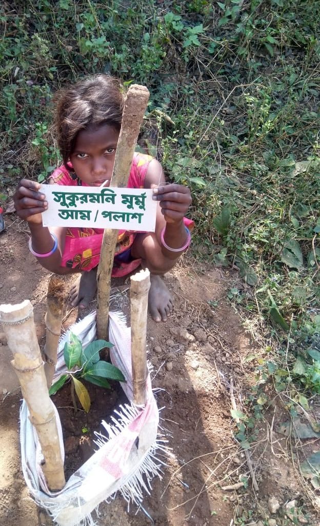 Eco-Awareness Project, Purulia — photo 3